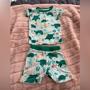 Little Sleepies Kids Sea Turtle Pajama Set in Light Aqua and Green